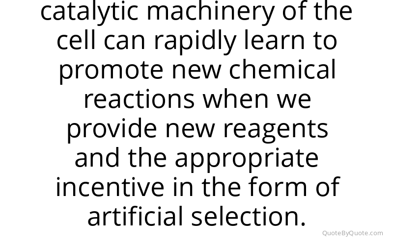 Preview image for this quote by Frances Arnold