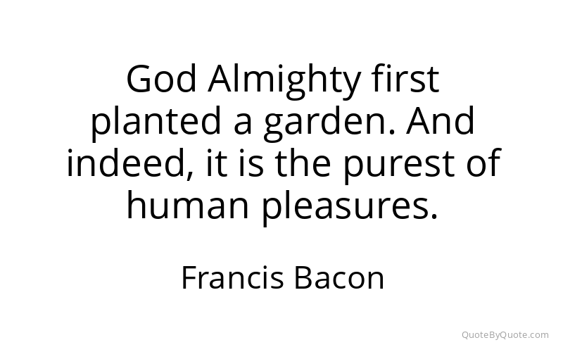 Preview image for this quote by Francis Bacon