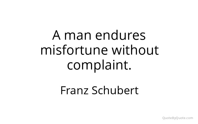 Preview image for this quote by Franz Schubert