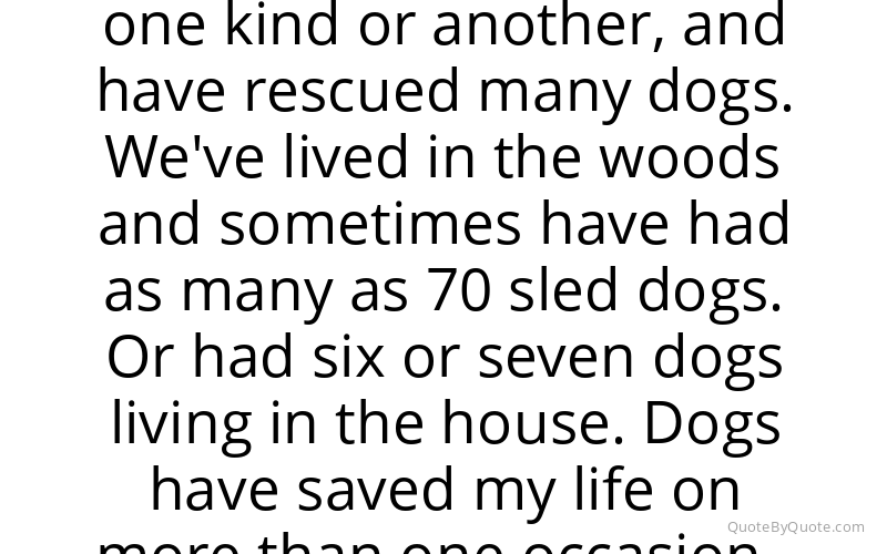 Preview image for this quote by Gary Paulsen