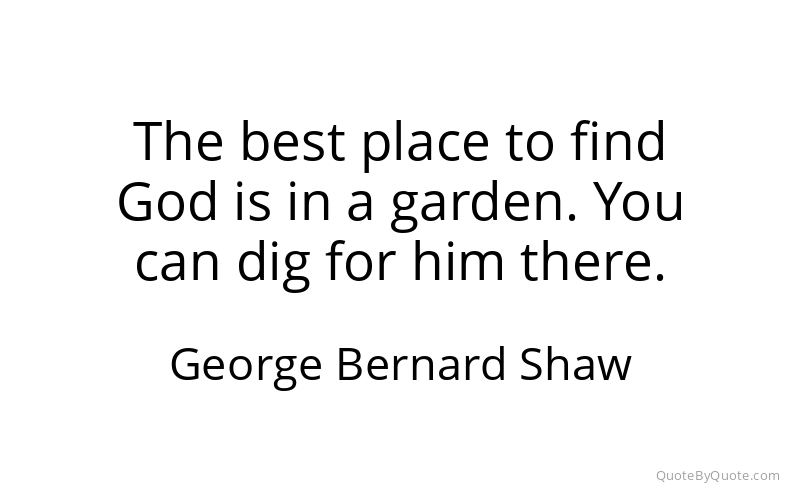 Preview image for this quote by George Bernard Shaw