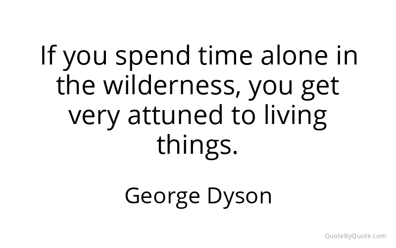 Preview image for this quote by George Dyson