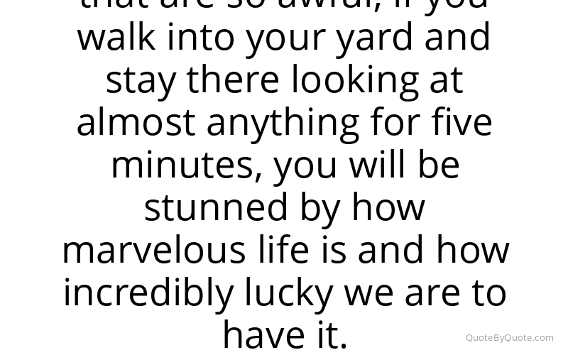 Preview image for this quote by Alice Walker