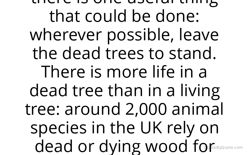 Preview image for this quote by George Monbiot