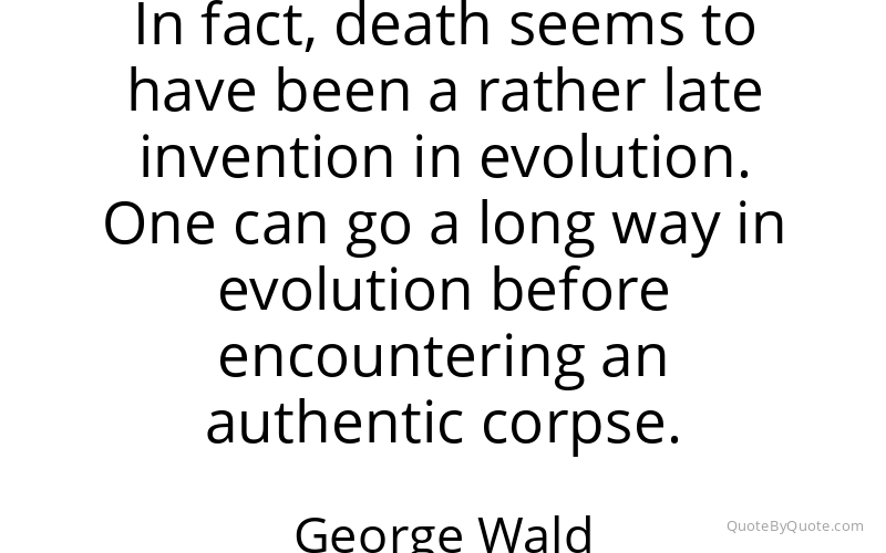 Preview image for this quote by George Wald