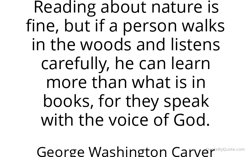 Preview image for this quote by George Washington Carver
