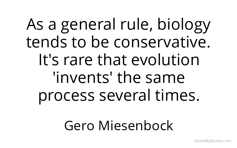 Preview image for this quote by Gero Miesenbock