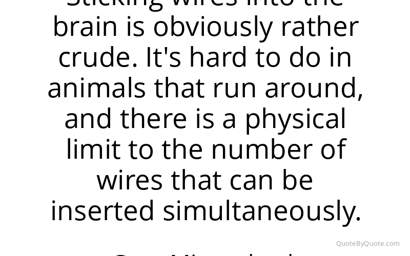 Preview image for this quote by Gero Miesenbock