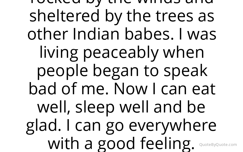 Preview image for this quote by Geronimo