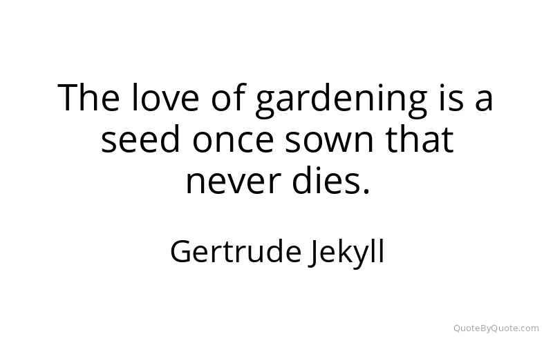 Preview image for this quote by Gertrude Jekyll