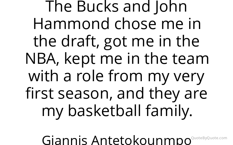 Preview image for this quote by Giannis Antetokounmpo