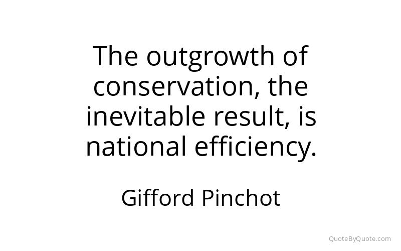Preview image for this quote by Gifford Pinchot