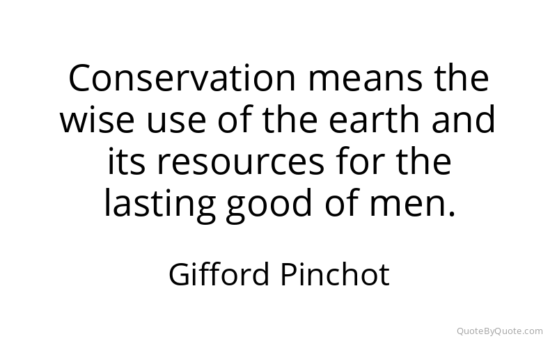 Preview image for this quote by Gifford Pinchot