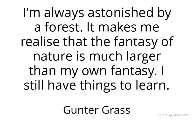 Preview image for this quote by Gunter Grass