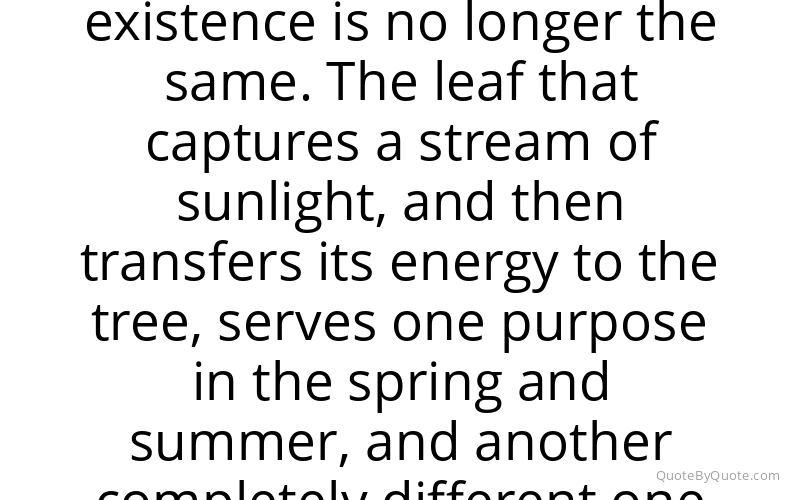 Preview image for this quote by Guy Finley