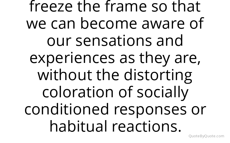 Preview image for this quote by Henepola Gunaratana