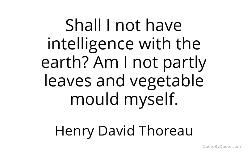 Preview image for this quote by Henry David Thoreau