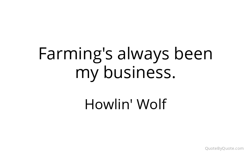 Preview image for this quote by Howlin' Wolf
