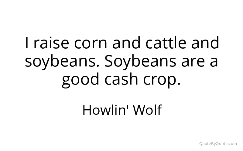 Preview image for this quote by Howlin' Wolf