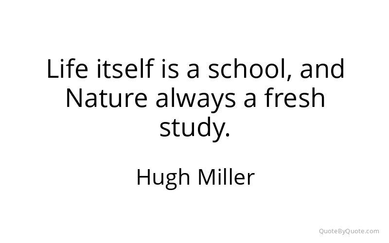 Preview image for this quote by Hugh Miller
