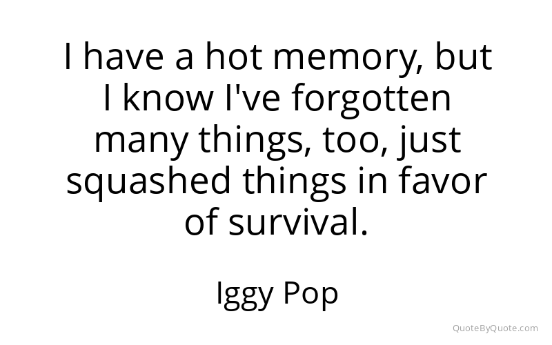Preview image for this quote by Iggy Pop