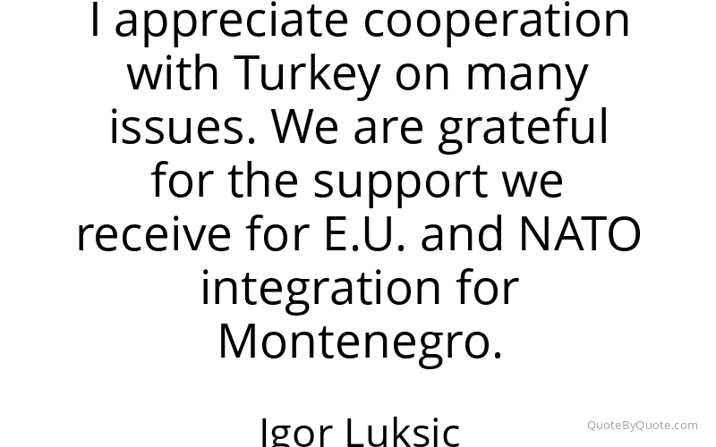 Preview image for this quote by Igor Luksic