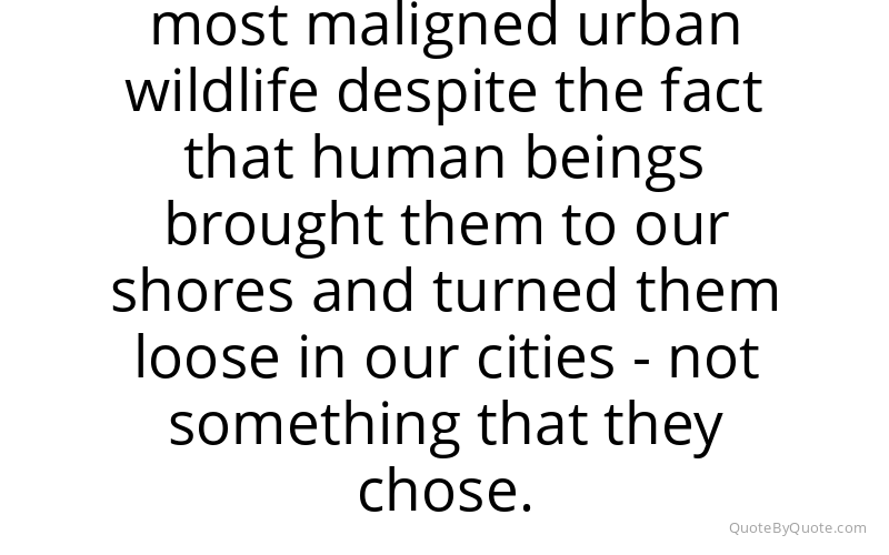 Preview image for this quote by Ingrid Newkirk