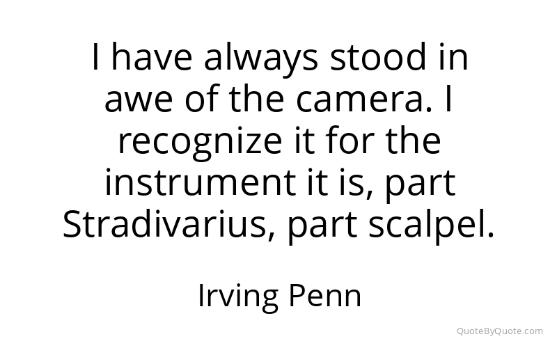 Preview image for this quote by Irving Penn