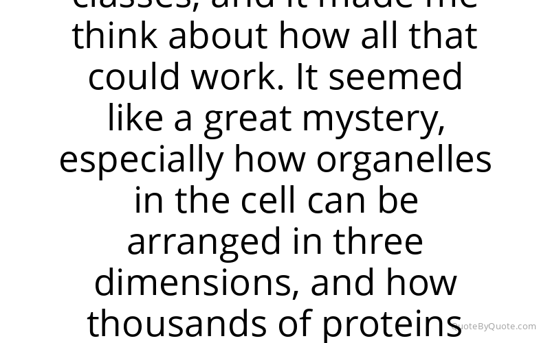 Preview image for this quote by James Rothman