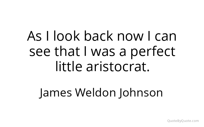 Preview image for this quote by James Weldon Johnson