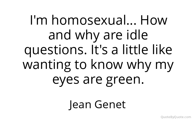Preview image for this quote by Jean Genet