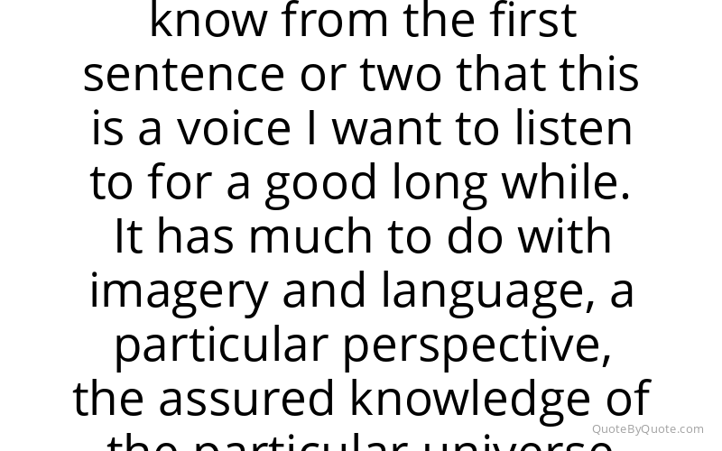 Preview image for this quote by Amy Tan