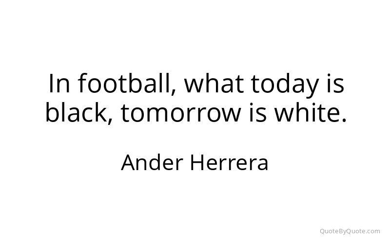 Preview image for this quote by Ander Herrera