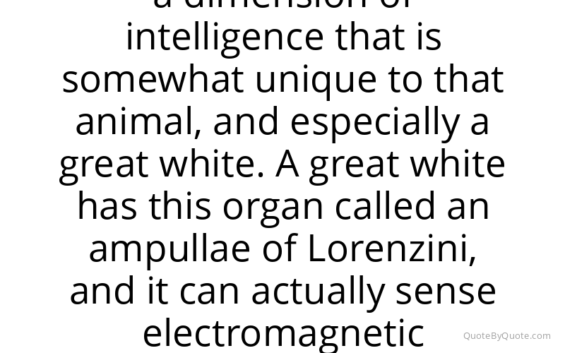 Preview image for this quote by Jim Toomey