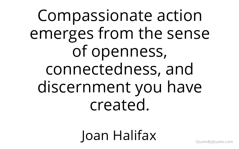 Preview image for this quote by Joan Halifax