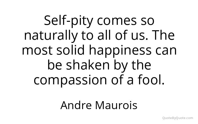 Preview image for this quote by Andre Maurois
