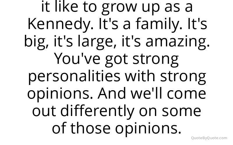 Preview image for this quote by Joe Kennedy III