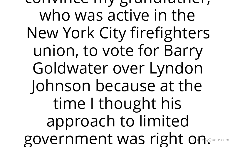 Preview image for this quote by Joe Lhota