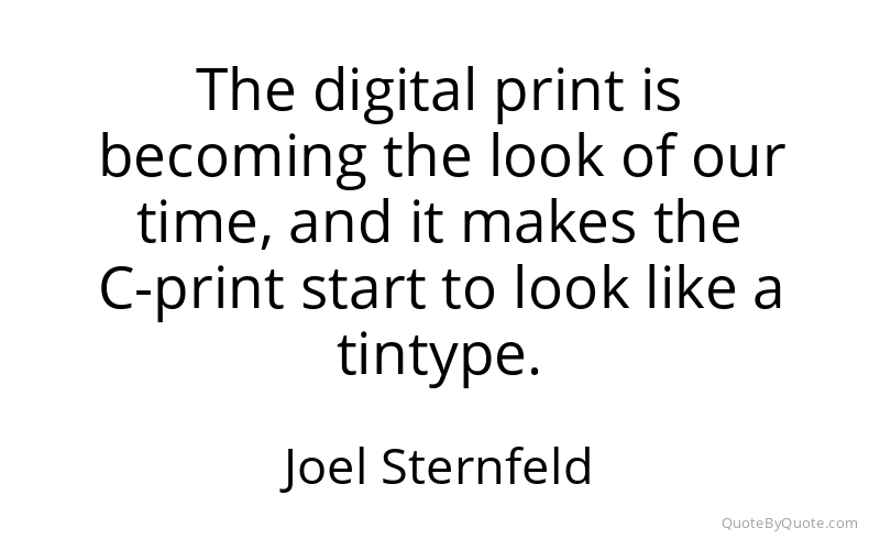 Preview image for this quote by Joel Sternfeld