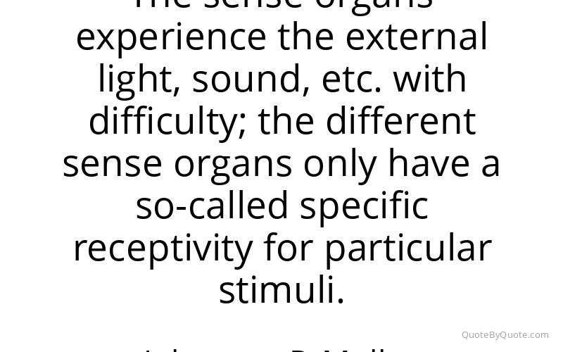 Preview image for this quote by Johannes P. Muller