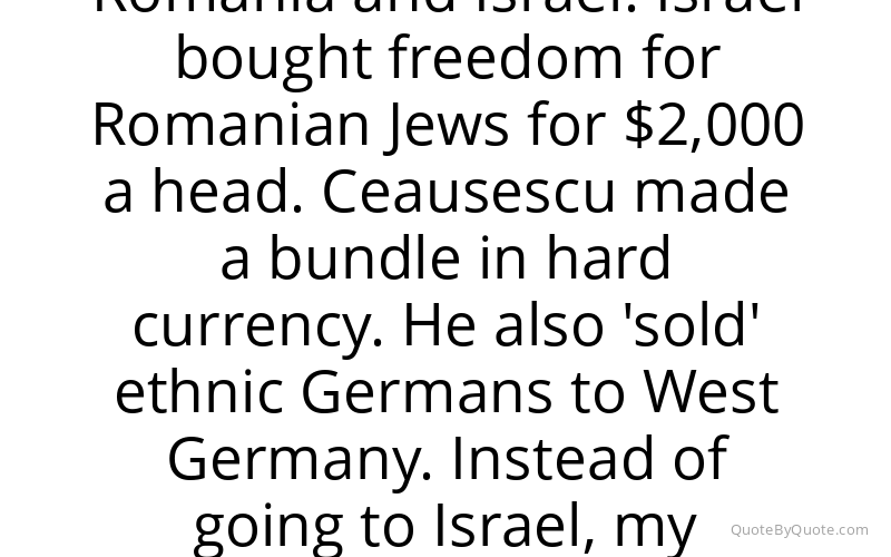 Preview image for this quote by Andrei Codrescu