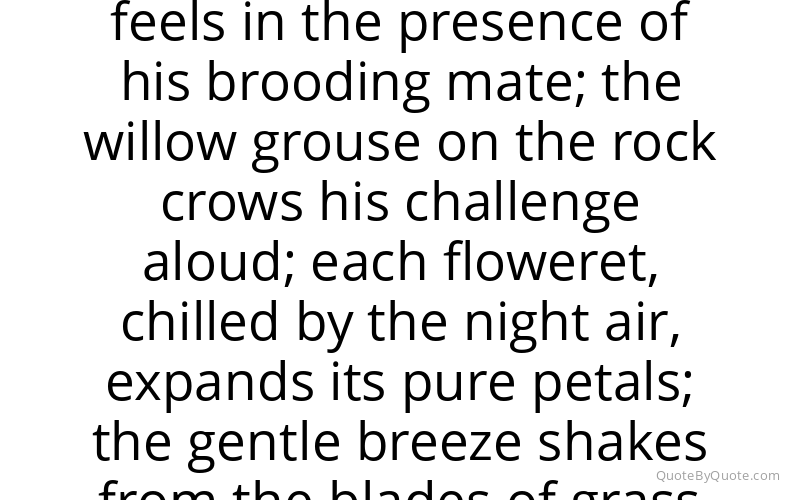 Preview image for this quote by John James Audubon