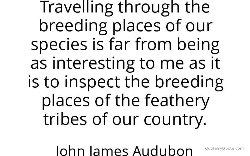 Preview image for this quote by John James Audubon