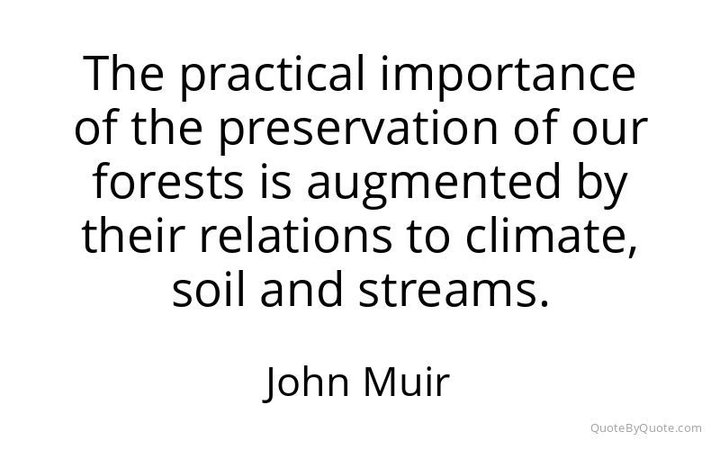 Preview image for this quote by John Muir