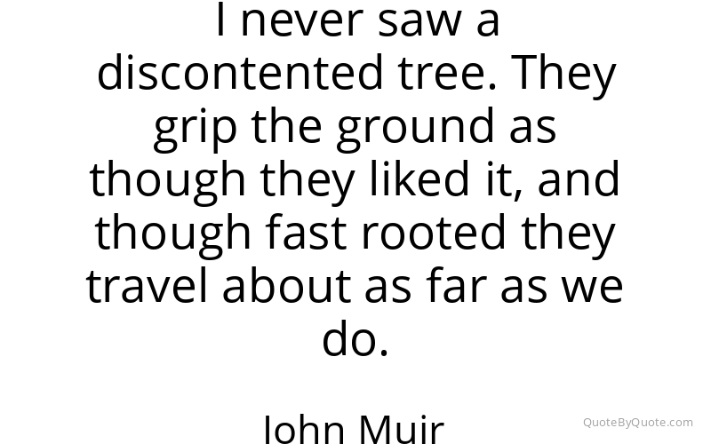 Preview image for this quote by John Muir
