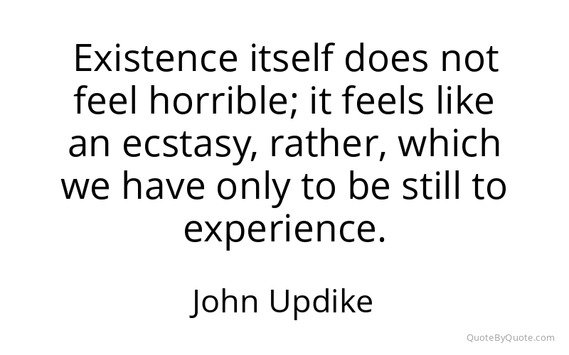 Preview image for this quote by John Updike