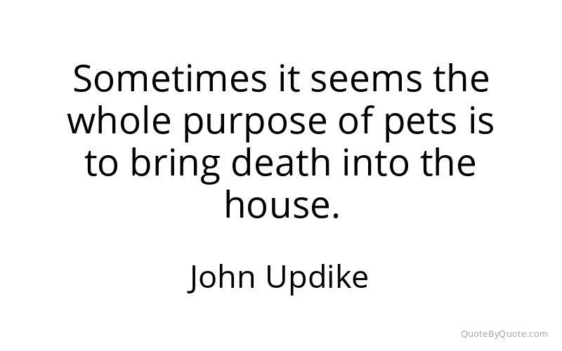 Preview image for this quote by John Updike