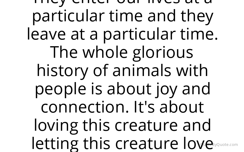 Preview image for this quote by Jon Katz
