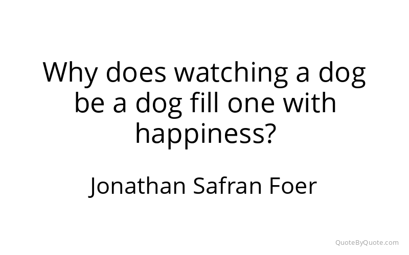 Preview image for this quote by Jonathan Safran Foer