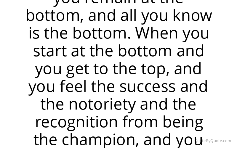 Preview image for this quote by Jordan Burroughs